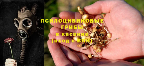 СК Зерноград