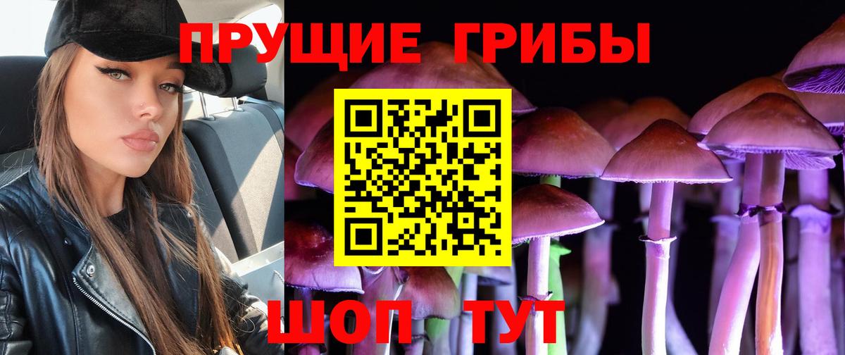 Нефтеюганск  Галлюциногенные грибы прущие грибы  Вход с VPN 